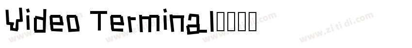 Video Terminal字体转换